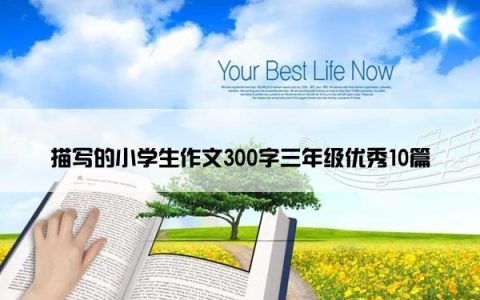 描写的小学生作文300字三年级优秀10篇