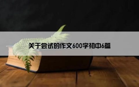 关于尝试的作文600字初中6篇