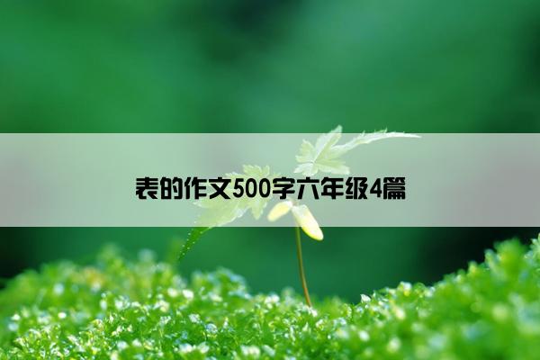 表的作文500字六年级4篇