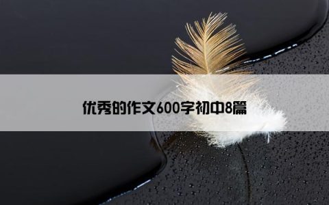 优秀的作文600字初中8篇