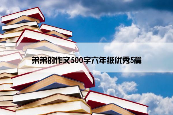 弟弟的作文500字六年级优秀5篇