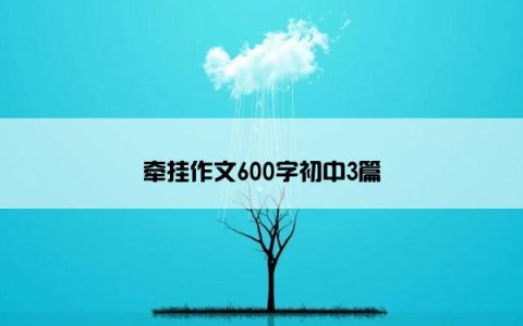 牵挂作文600字初中3篇