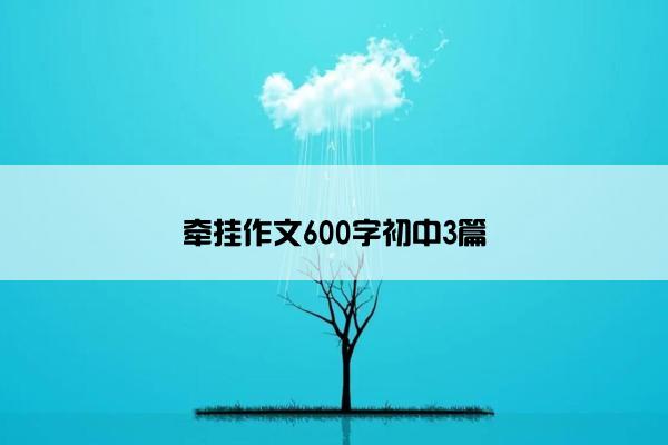 牵挂作文600字初中3篇