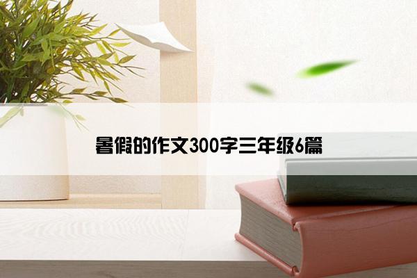 暑假的作文300字三年级6篇