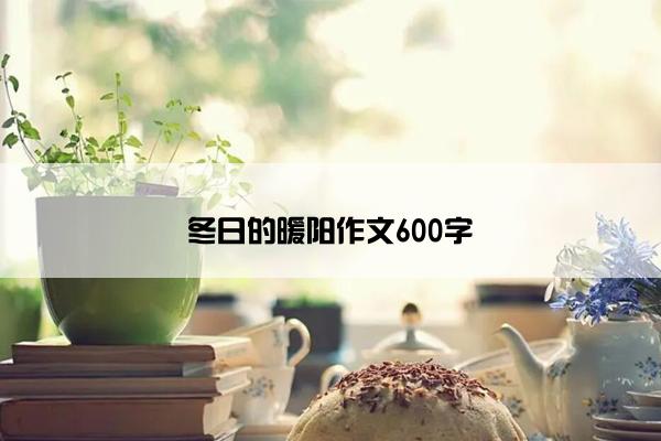 冬日的暖阳作文600字