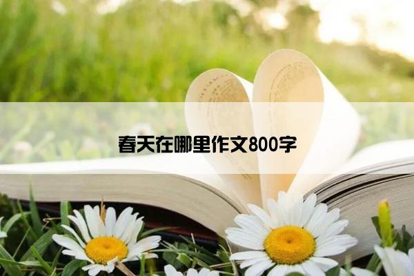 春天在哪里作文800字