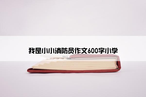 我是小小消防员作文600字小学