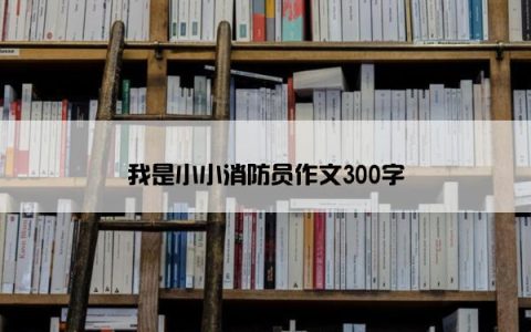 我是小小消防员作文300字