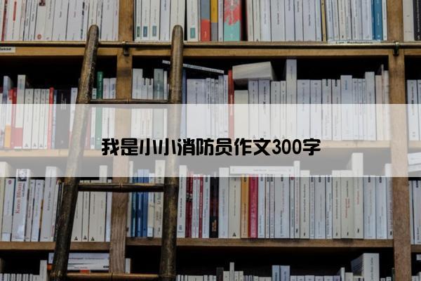 我是小小消防员作文300字