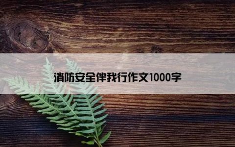 消防安全伴我行作文1000字