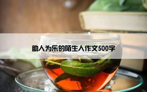 助人为乐的陌生人作文500字