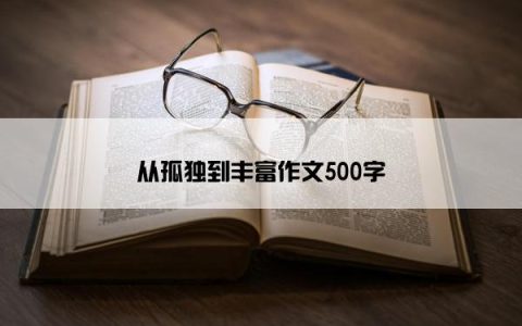 从孤独到丰富作文500字