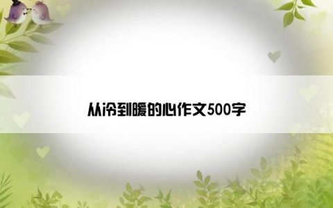 从冷到暖的心作文500字