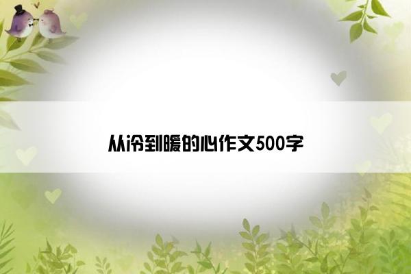 从冷到暖的心作文500字