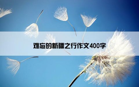难忘的新疆之行作文400字