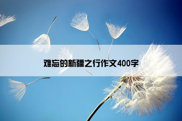 难忘的新疆之行作文400字