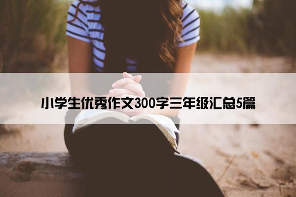 小学生优秀作文300字三年级汇总5篇