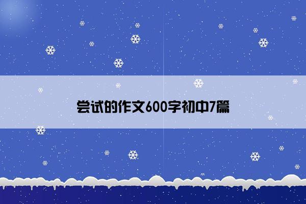 尝试的作文600字初中7篇