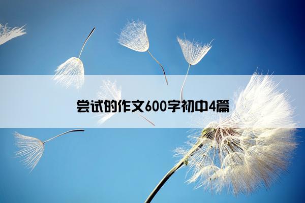 尝试的作文600字初中4篇