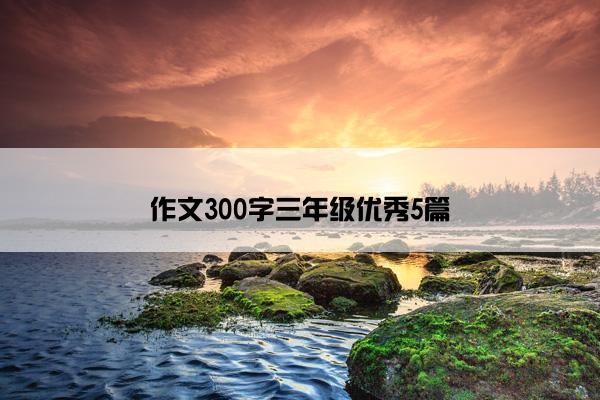 作文300字三年级优秀5篇