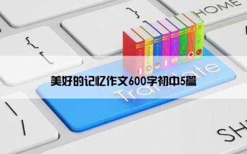 美好的记忆作文600字初中5篇