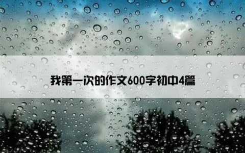 我第一次的作文600字初中4篇