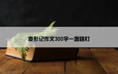变形记作文300字一盏路灯
