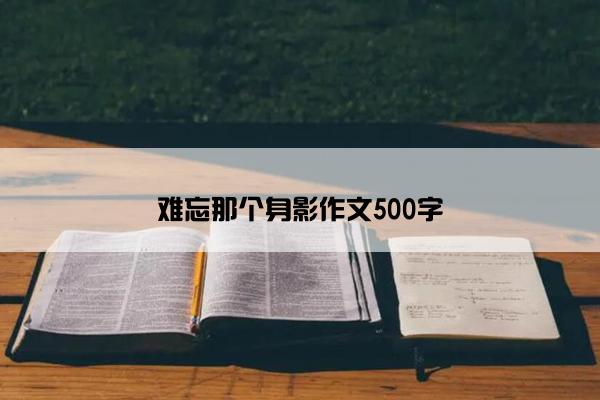 难忘那个身影作文500字