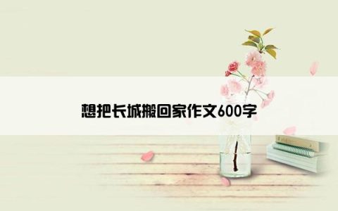 想把长城搬回家作文600字