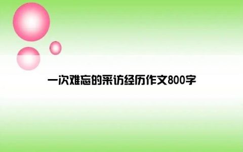一次难忘的采访经历作文800字