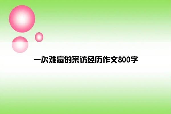 一次难忘的采访经历作文800字