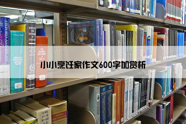 小小烹饪家作文600字加赏析