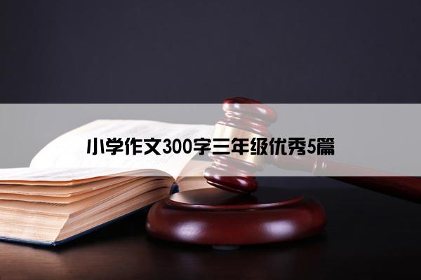 小学作文300字三年级优秀5篇