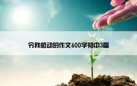 令我感动的作文600字初中3篇