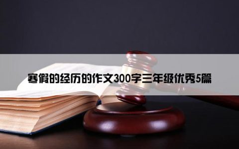 寒假的经历的作文300字三年级优秀5篇