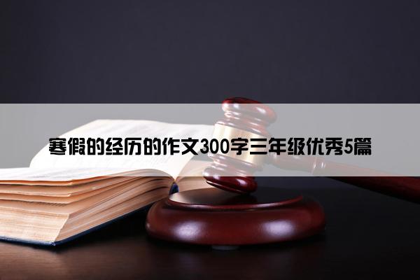 寒假的经历的作文300字三年级优秀5篇