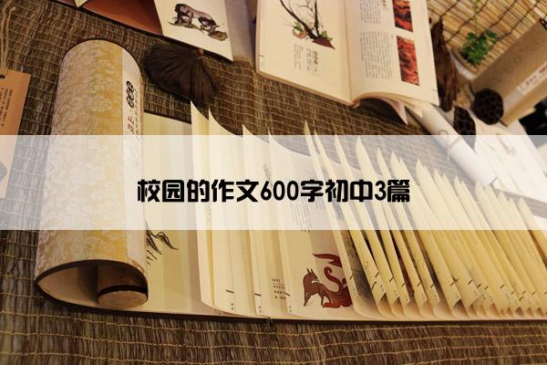 校园的作文600字初中3篇