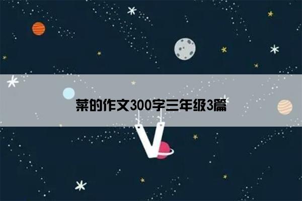 菜的作文300字三年级3篇