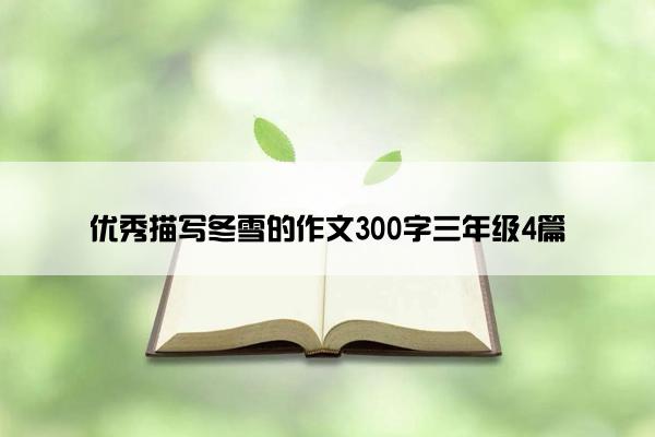 优秀描写冬雪的作文300字三年级4篇