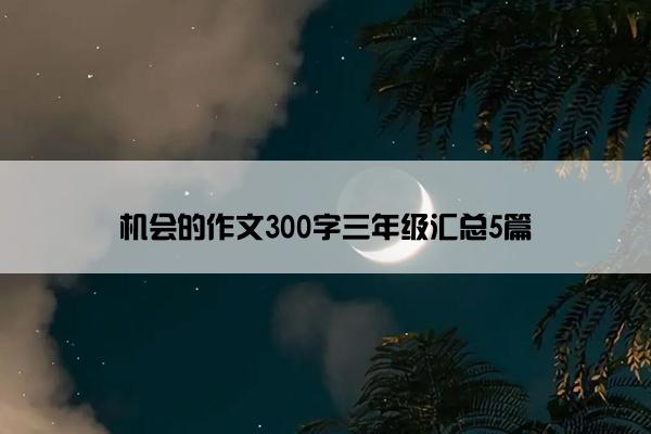 机会的作文300字三年级汇总5篇