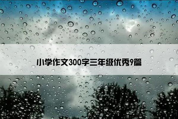 小学作文300字三年级优秀9篇