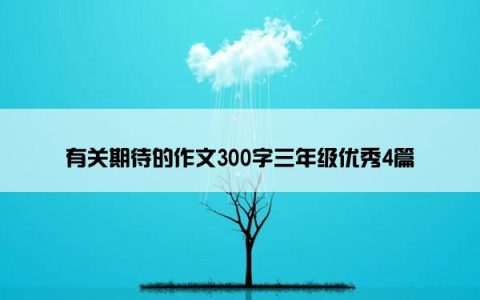 有关期待的作文300字三年级优秀4篇