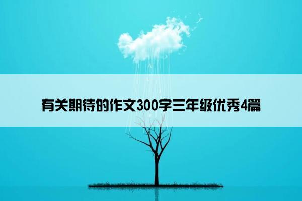 有关期待的作文300字三年级优秀4篇