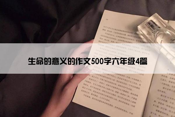 生命的意义的作文500字六年级4篇