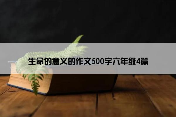 生命的意义的作文500字六年级4篇