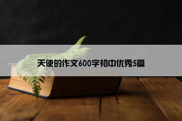 天使的作文600字初中优秀5篇