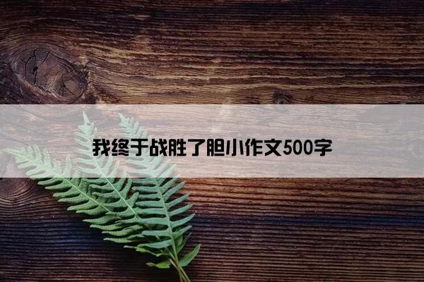 我终于战胜了胆小作文500字