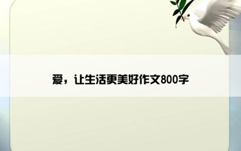 爱，让生活更美好作文800字