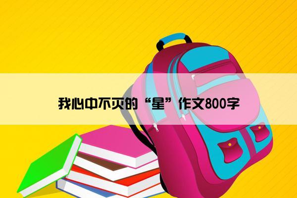 我心中不灭的“星”作文800字