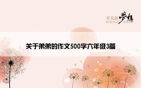 关于弟弟的作文500字六年级3篇